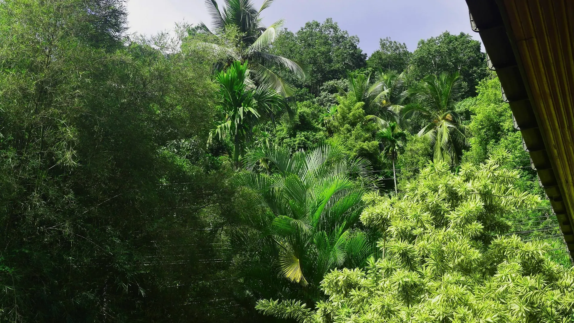 Guest house Avaana By Springhills Hotel Kandy