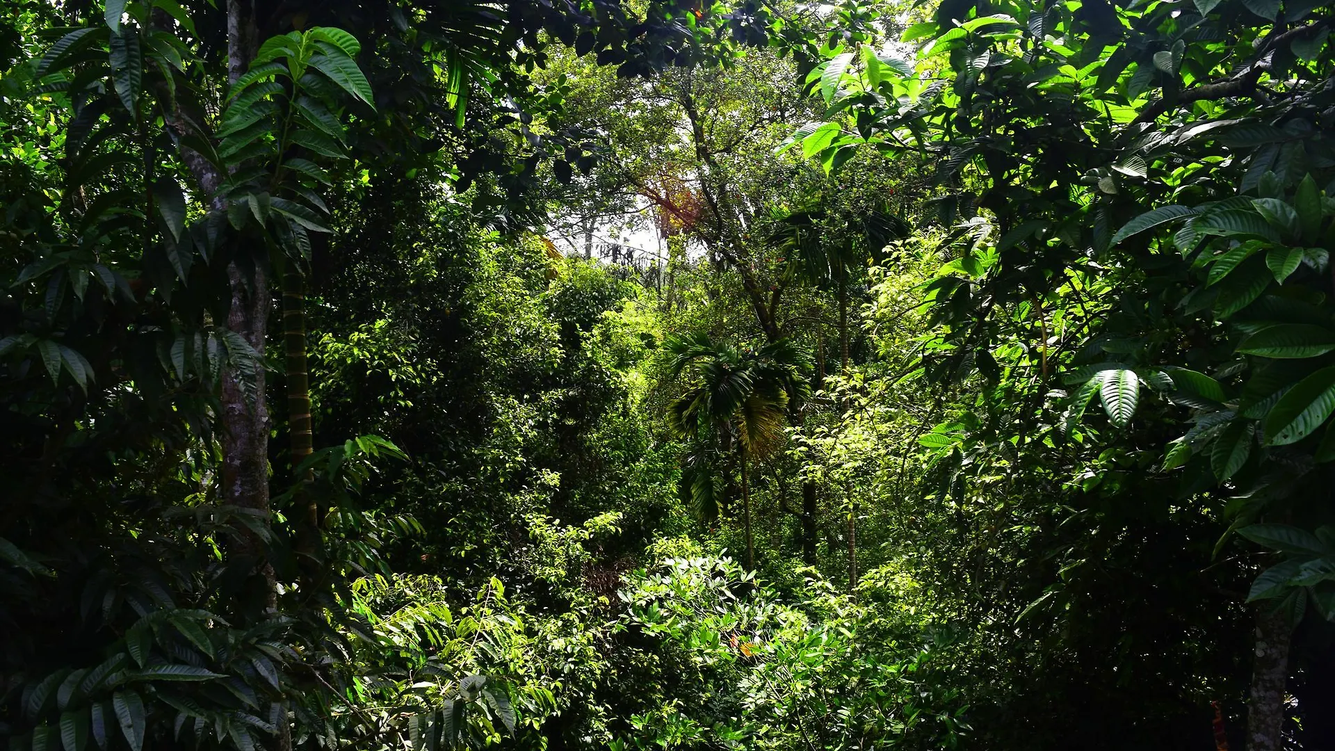 Avaana By Springhills Hotel Kandy Guest house