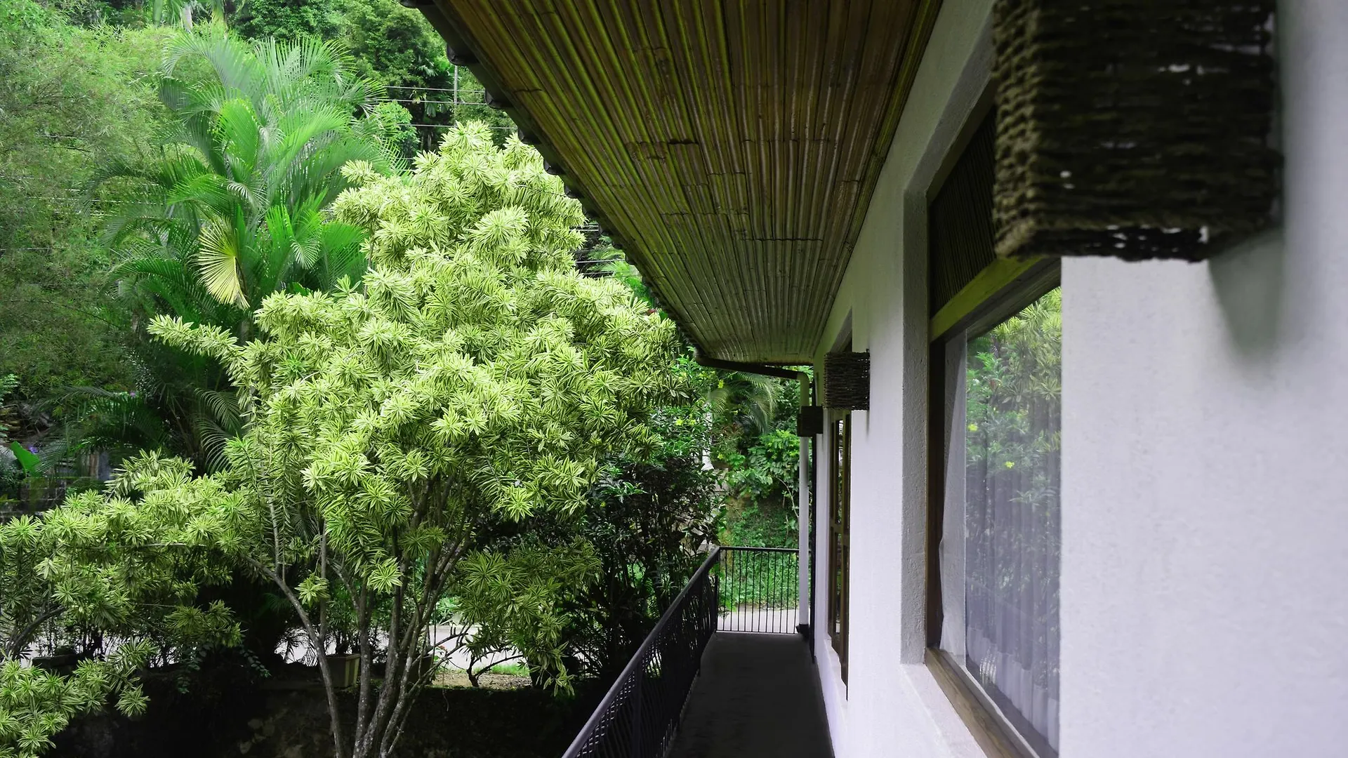 Guest house Avaana By Springhills Hotel Kandy
